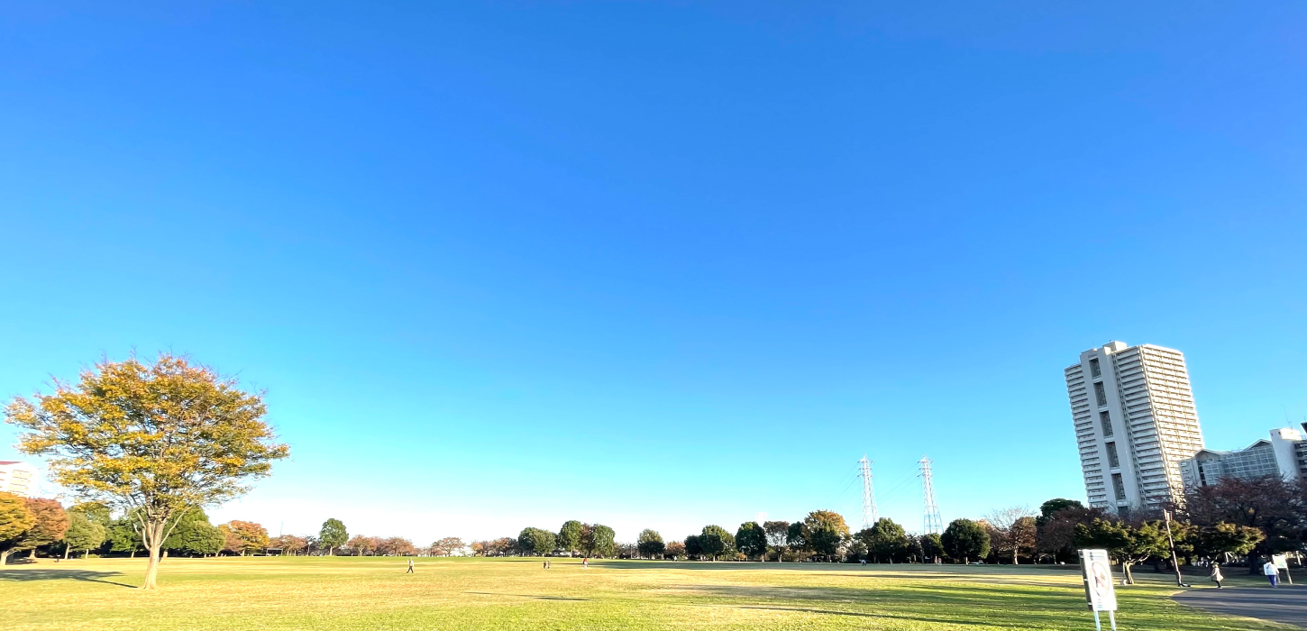 大島小松川公園の画像