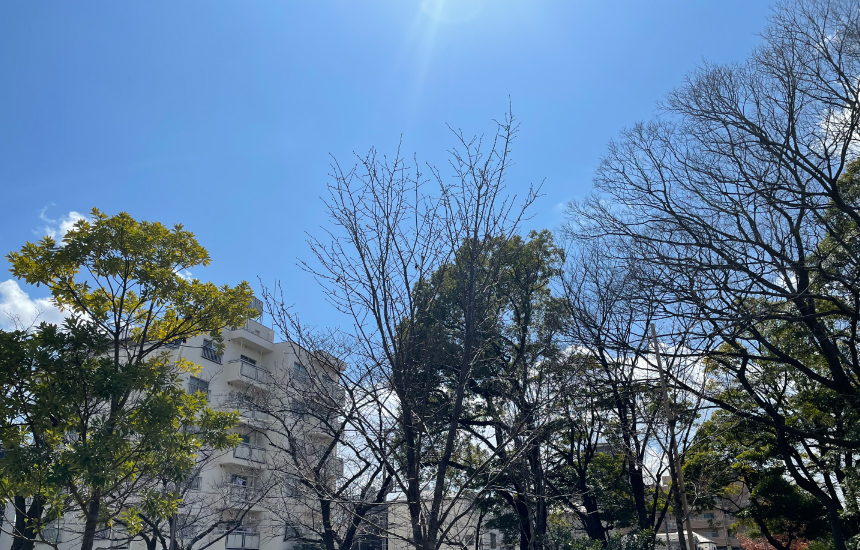 仙台堀川公園